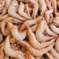 ماهی جنوب خرده عمده|ماهی|یزد, |دیوار