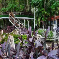 استخدام همکار کافه فست فود طاهباز|استخدام خدمات فروشگاه و رستوران|محمودآباد, |دیوار