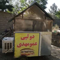 گاری فلافل
