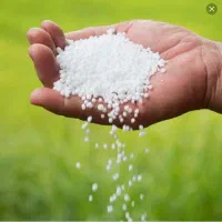 کود اوره و پتاس مفت و بذر گندم باران