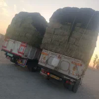 یونجه پرس