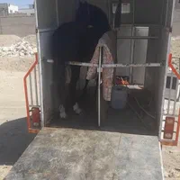 اسبکش حمل اسب|خدمات حمل و نقل|تهران, ارم|دیوار