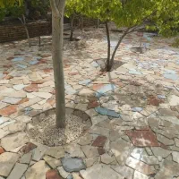 بنای ساختمان تخریب|خدمات پیشه و مهارت|تبریز, |دیوار