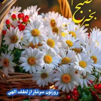 تور زیارتی کربلا معلی