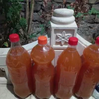 ابغوره خانگی