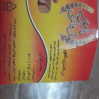 نان فانتزی رشد