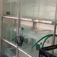 سالن ماهی|ماهی|شاهین‌شهر, خانه کارگر|دیوار