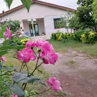 جهت-اجاره-ویلا