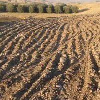 موتور مارگو ‌۱۰ اسب