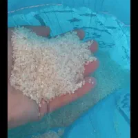 برنج عنبربو|عمده‌فروشی|شادگان, |دیوار