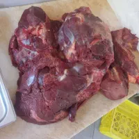 گوشت گوساله ماده عمده