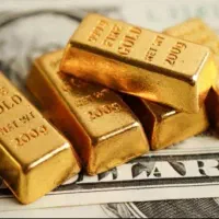 جذب کار آموز طلا در گالری