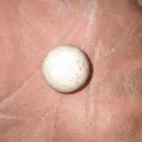 مهره قدیمی