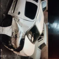 رانا تصادفی