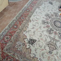 فرش ۱۲ متری|فرش|فومن, |دیوار