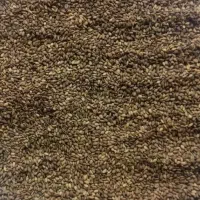 کنجد بذر با کیفیت