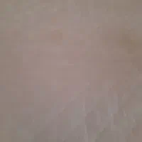 پتو و تشک|رختخواب، بالش، پتو|سبزوار, قاضی زاد|دیوار