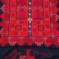 زیاستین