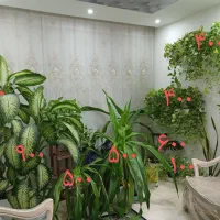 انواع گل طبیعی