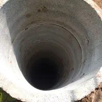 حفر ، کنده کاری ،نهال