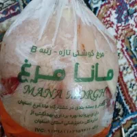 مرغ یخی