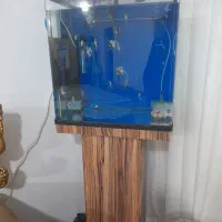 آکواریوم شیشه خم تکمیل