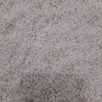 برنج علی کاظمی|عمده‌فروشی|بیرانوند, |دیوار