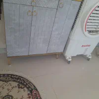 جاکفشی سالم