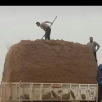 کاه نیشکر|حیوانات مزرعه|شاهین‌شهر, گزبرخوار|دیوار