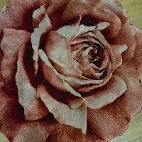 یک  جفت  پادری  طرح  گل|پادری|تهران, سعادت‌آباد|دیوار