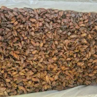 کشمش افتابی محمدکاشمری|عمده‌فروشی|تهران, کرمان|دیوار