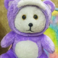 عروسک  خرس کلاه