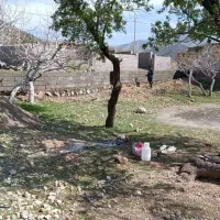 فروش زمین در باغ خوش دهبکری|فروش زمین و ملک کلنگی|دهبکری, |دیوار