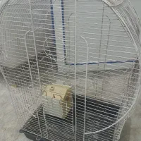 قفس|لوازم جانبی حیوانات|قم, ولیعصر|دیوار