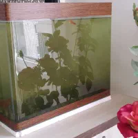 آکواریوم حرفه ای لبه خم