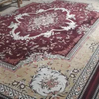 فرش، ۱۲ متری|فرش|گرمدره, |دیوار