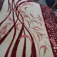 پتو نو نو|رختخواب، بالش، پتو|مشهد, خرمشهر|دیوار