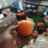 خرمالو سیبی|خوردنی و آشامیدنی|نوشین شهر, |دیوار