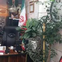 زمین مسکونی شهری در لولمان .با سند مدرک کامل