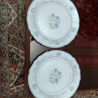 ظروف پذیرایی