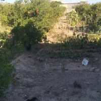 باغ ویلا|فروش خانه و ویلا|تربت‌حیدریه, پائین ولایت|دیوار