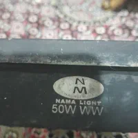 وسائل روشنایی|لامپ و چراغ|هشتگرد, سعید آباد|دیوار