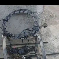 کبسول سی آنجی