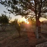 باغ ۱۷۰۰ متری در روستای قندیلک|فروش زمین و ملک کلنگی|شیراز, کفترک|دیوار