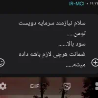 سرمایه گذار سود بالا