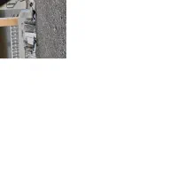 اردک ژاپنی|حیوانات مزرعه|حویق, |دیوار