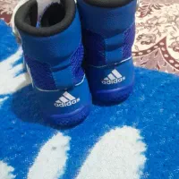 کفش کشتی ادیداس سایز 38