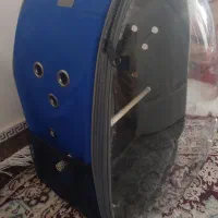 کوله حمله پرندگان