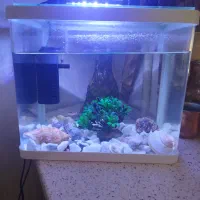 آکواریوم شیشه خم