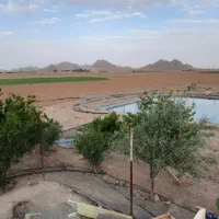 اجاره زمین کشاورزی برای احداث گلخانه